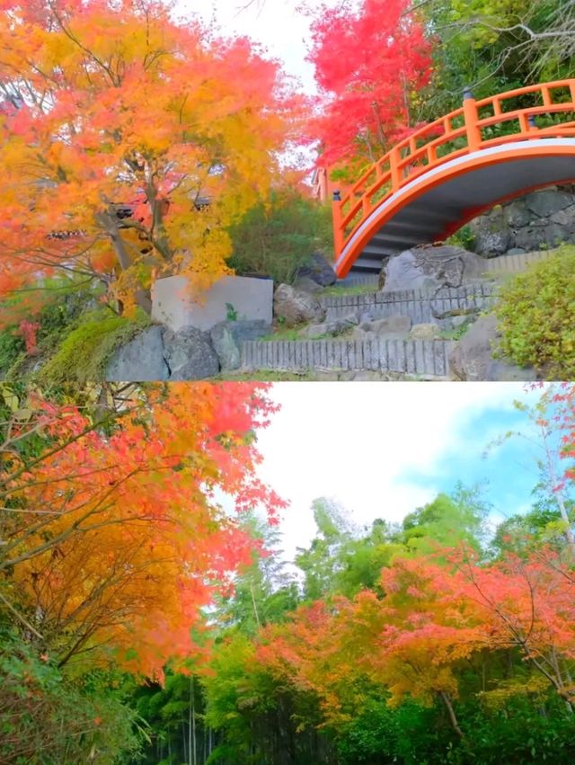 京都小眾賞楓秘境|正法寺禪意紅葉之旅🍁 京都小眾賞楓秘境|正法寺禪意紅葉之旅🍁