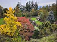 Queen Elizabeth Park