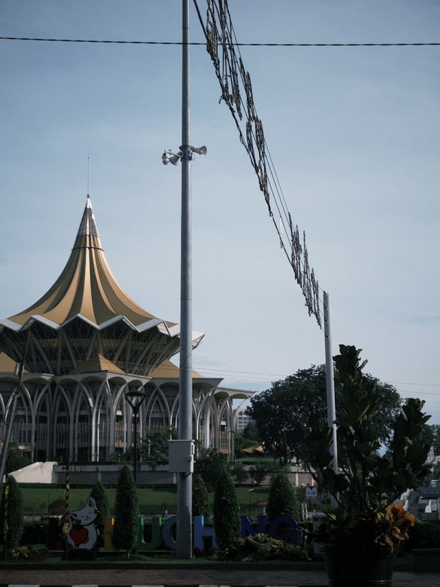 Sunny Street Vibes🌞 Sunny Street Vibes🌞