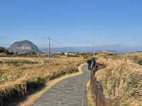☀️ 겨울의 제주 송악산 둘레길에서 만난 고요한 풍경 🌿