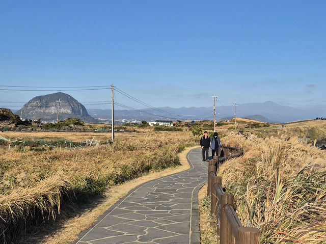 ☀️ 겨울의 제주 송악산 둘레길에서 만난 고요한 풍경 🌿