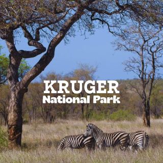 การผจญภัยสุดมันส์ในอุทยานแห่งชาติครูเกอร์