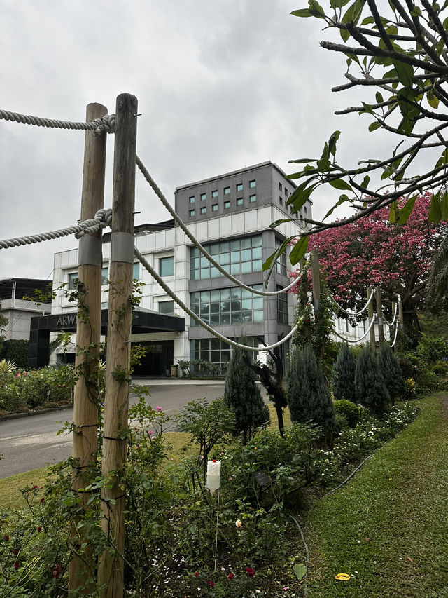 週末療癒提案！桃園雅聞魅力博覽館：迷迭香花園步道與玻璃屋植物探險 🌱