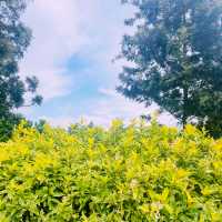 U Forests Cafe @ระยอง