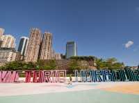 The Whispers of Salt and Steel