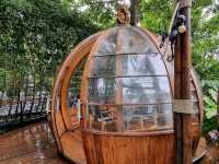 Phuket’s Three Monkeys Restaurant: Jungle Vibes & Tom Yum Delights 🍲🌴