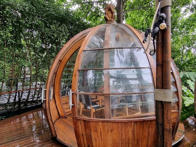 Phuket’s Three Monkeys Restaurant: Jungle Vibes & Tom Yum Delights 🍲🌴