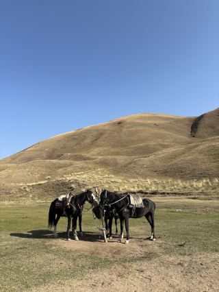 🌄🐎 Three Days on Horseback: A Trekking Adventure in Kyrgyzstan 🐎🌄