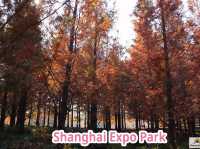 Shanghai Expo Park