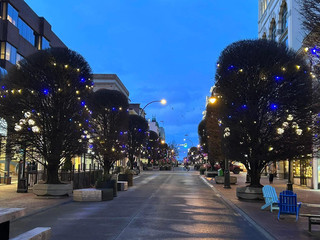 Victoria at night always seems to slow you down. This small city on Vancouver Island, Canada, is filled with European-style garden charm during the day, but as night falls, the historic Western-style buildings in the city center light up with festive lights. The British Columbia Parliament Buildings, in particular, stand out elegantly under the lights, their white facades serene and timeless.

This tour focuses on exploring Victoria's downtown nightscape, recommended for those who enjoy night photography, want to experience a festive atmosphere, but dislike crowds. Whether you...