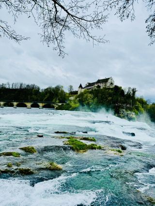 รีวิวเที่ยว น้ำตกไรน์ (Rhine Falls) สวิตเซอร์แลนด์แบบจัดเต็ม