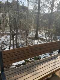 Snoopy Garden: The Cutest Spot in Jeju 🤍