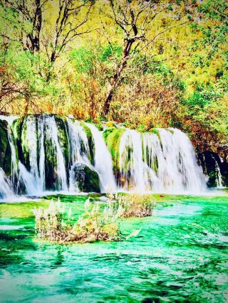 Saint Lucia Edmund Forest Reserve Mossy Enbas Saut Waterfalleasytravelpost #EdmundForestReserve #En