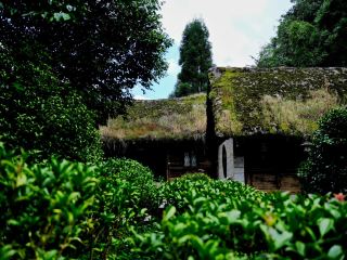 🏘️ Songgai Miao Village | Where Culture Still Lives in the Mountains