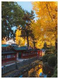 Japan In Autumn Is A Different Kind Of Magic 🍁🇯🇵