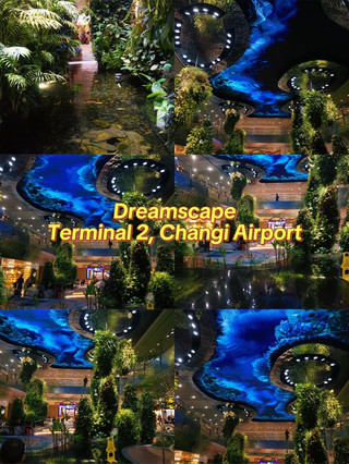 Dreamscape Changi Airport: A Hidden Nature Escape in Singapore That Took Me by Surprise!