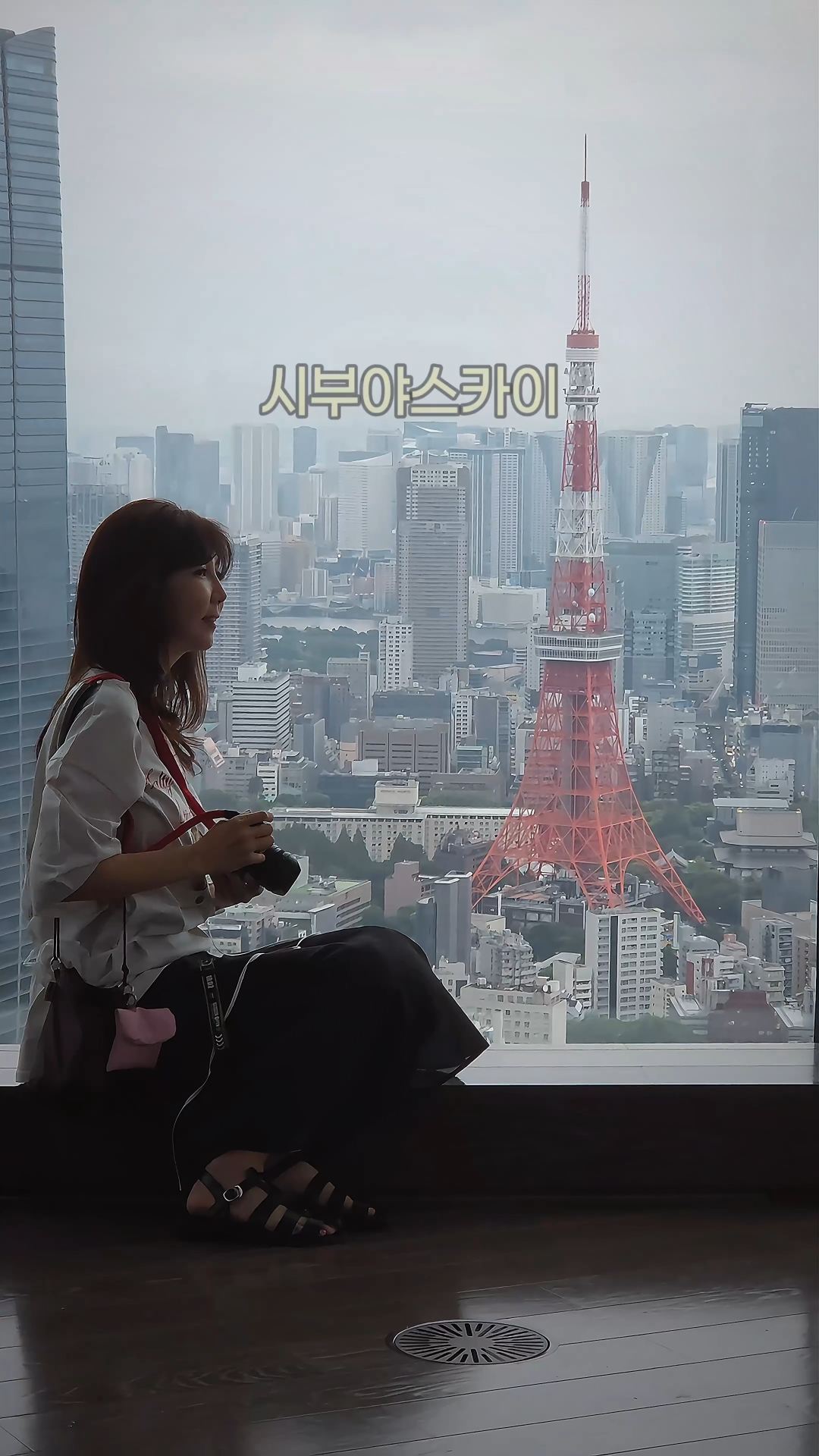 롯폰기힐즈 52층, 노을부터 야경까지 한 번에 보는 곳