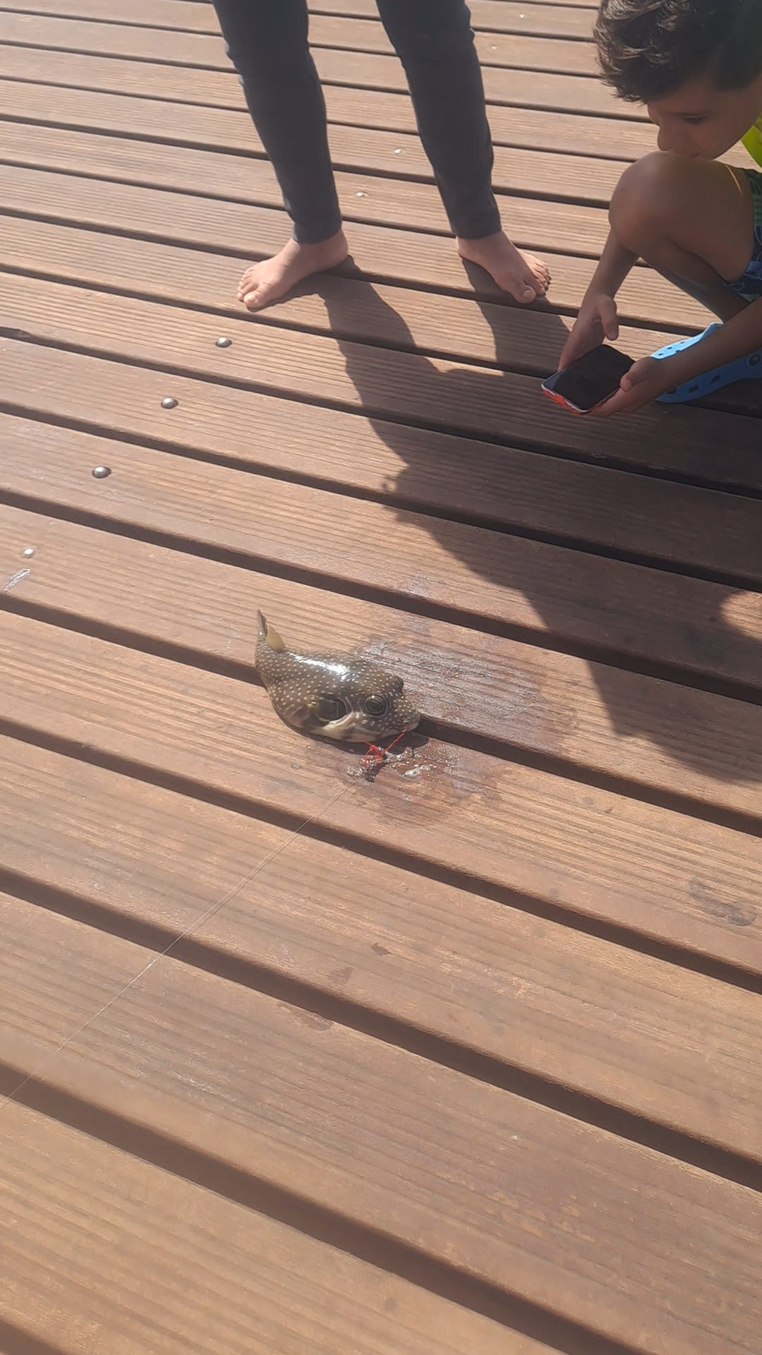 Catch of the day with a twist! 🐡🎣​