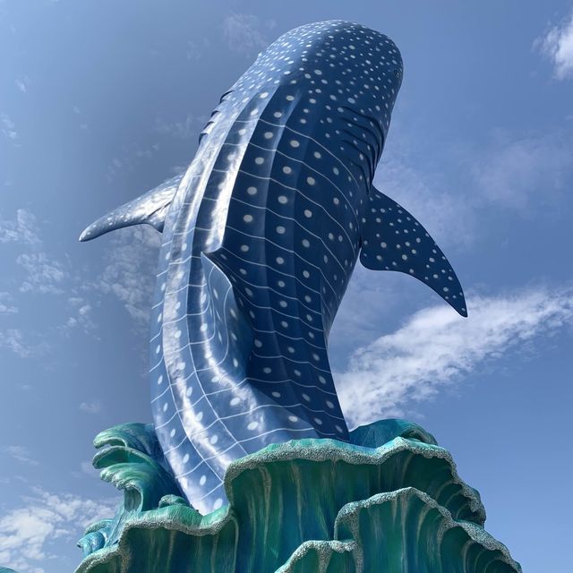  🐋 WHAT AN AMAZING AQUARIUM 🌊