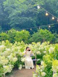 ์ด์ ๋ ์ ๋ฝ์๊ตญ์ ๊ณ์ ๐