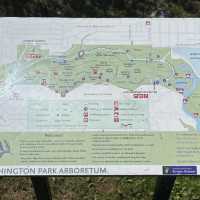 Washington Park Arboretum