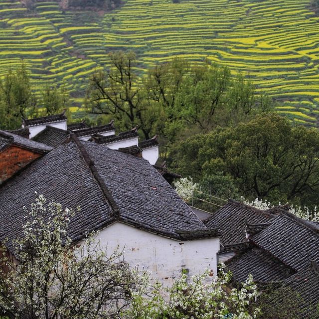 Stunning Huangling Ancient Town & Terraces