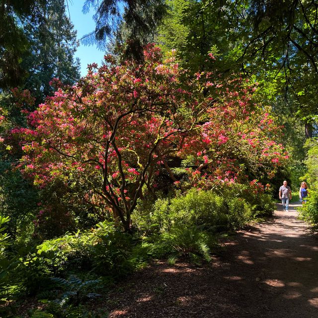 Washington Park Arboretum