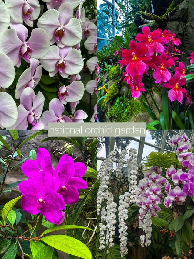 Watch Life Bloom at Singapore Botanic Gardens