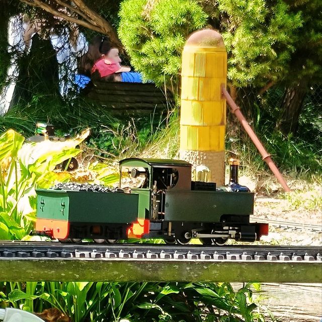 Model Train Show