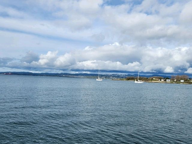 Fishermans Wharf in Dowtown Victoria BC Canada good for food and whale watching
