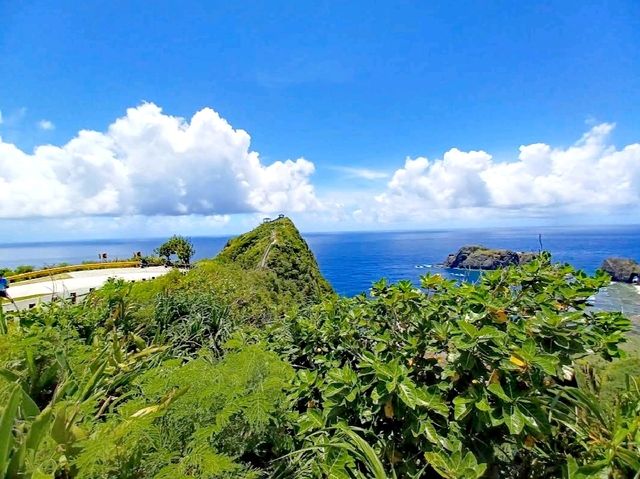 海參坪