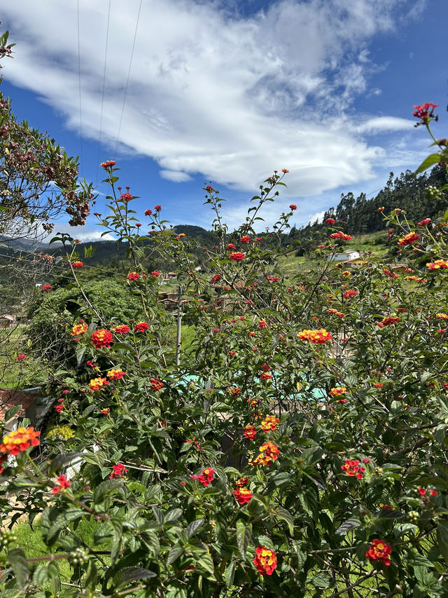 🇨🇴山に泊まる贅沢：Hostal Villa San Juan滞在記