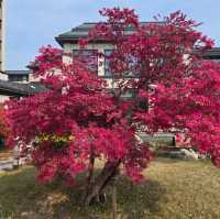 Best Luxury Budget Hotel in Suzhou