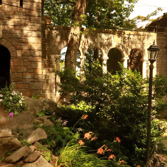 Sunny Dreamscape☀️