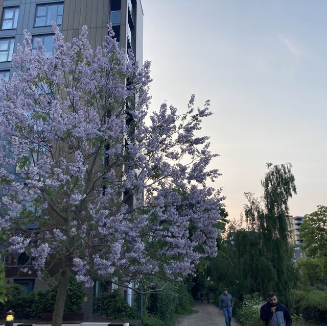 Highbury Square Stadium, Finsbury Park