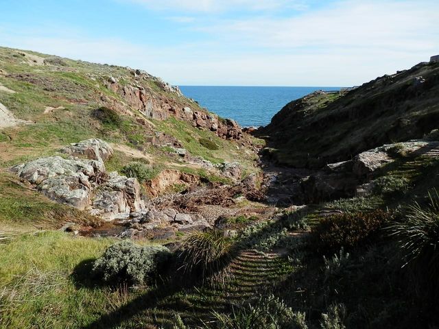 Amazing Hallett Cove Conservation Park 🇦🇺