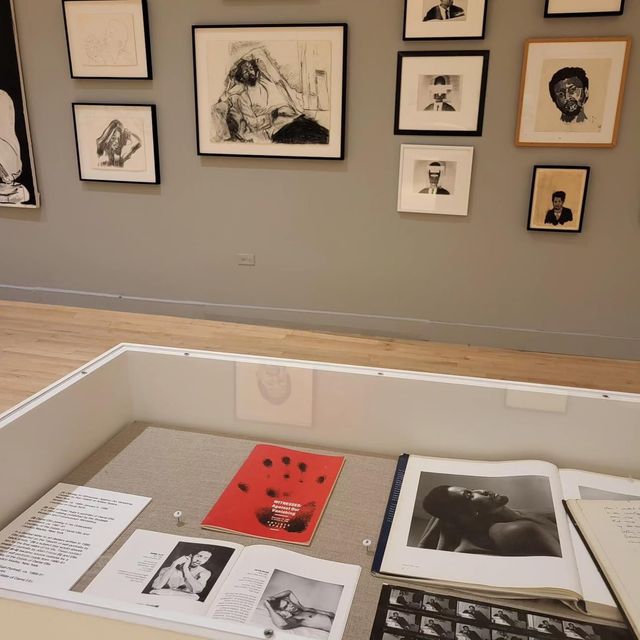 The Bronx Museum of the Arts 🇺🇸