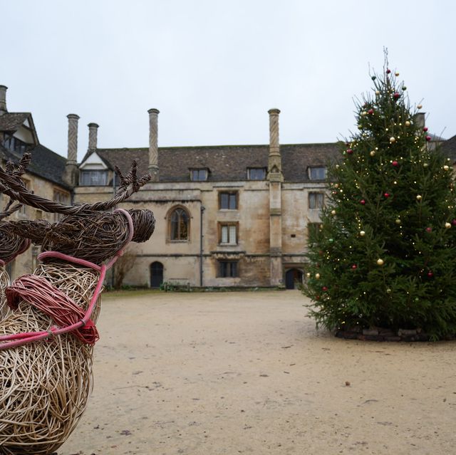 UK Winter festive fun