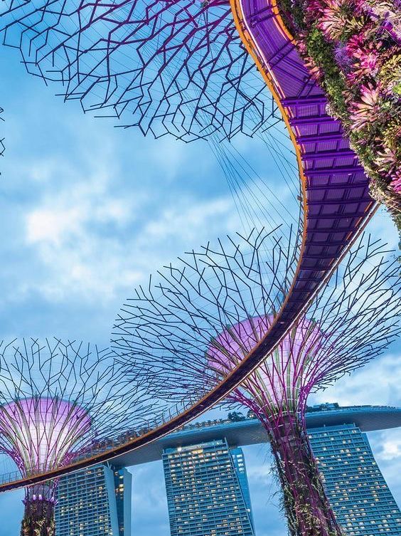 Singapore: The Lion City's Roar