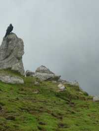 Triund Hike, Dharamshala