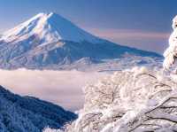 The iconic symbol of Japan "Mount Fuji": The nature lovers destination!