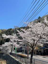 It is a Michelin three-star tourist destination