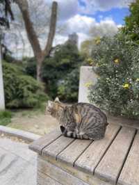 Maçka Democracy Park: Istanbul's Green Gem