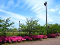舍人公園