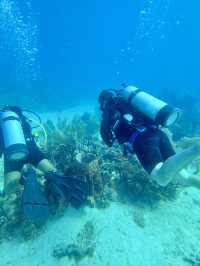 Full diving guide @Bayahibe 🇩🇴