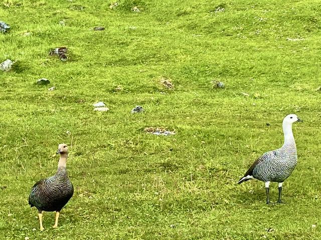 Slow Travel Vibes – Ushuaia