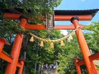 Fujikawaguchiko: A Peaceful Escape at the Foot of Mt. Fuji