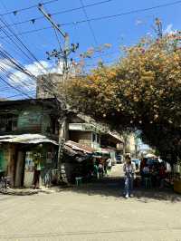 Adventure Day in Cebu City
