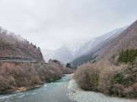Kamioka: A Hidden Mountain Escape with a Rail Bike Twist 
