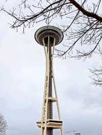 Space Needle & The Seattle Eye,  the city from above